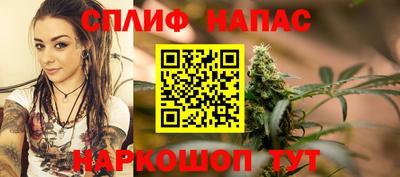PSILOCYBIN Можга