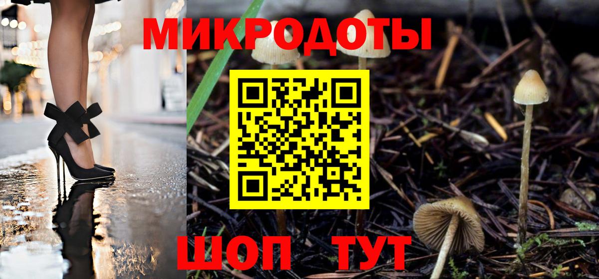 Псилоцибиновые грибы прущие грибы Ялта