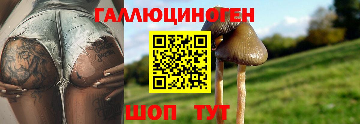 Ялта  Галлюциногенные грибы прущие грибы  Вход с VPN 